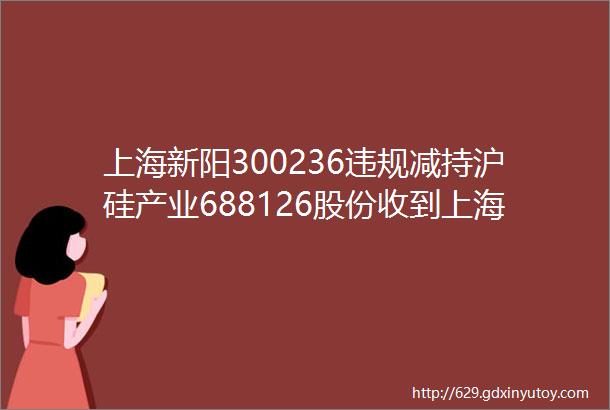 上海新阳300236违规减持沪硅产业688126股份收到上海证监局警示函
